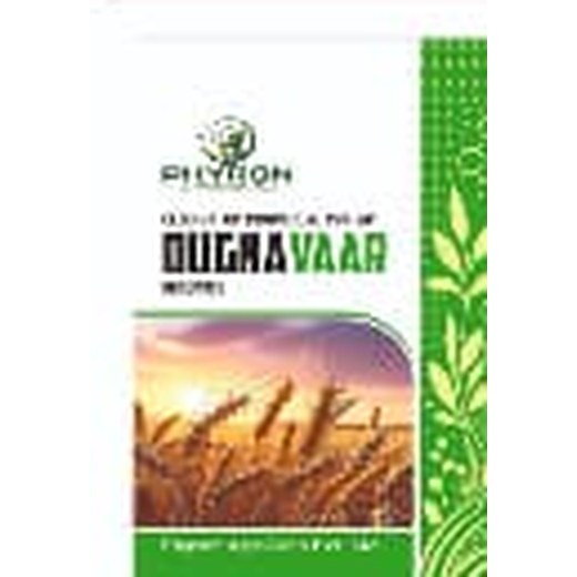 DUGNA VAAR — Clodinafop-Propargyl 15% WP